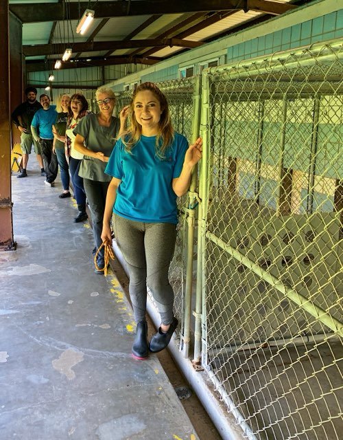 Volunteers and staff at Special Pals Shelter maintain dozens of kennels and a cat sanctuary on a daily basis. The shelter also provides periodic low-cost vaccine clinics.